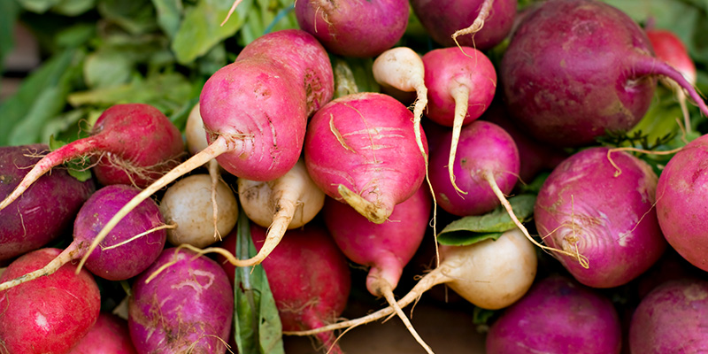 benefits of gardening