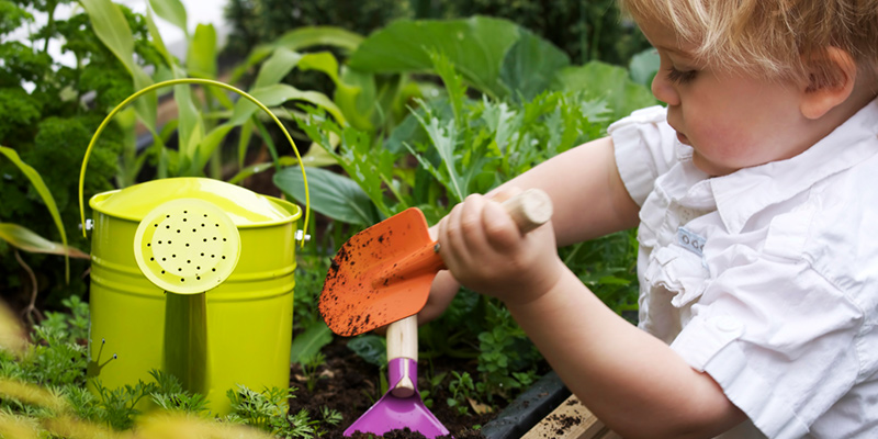 toddler learning how to garden