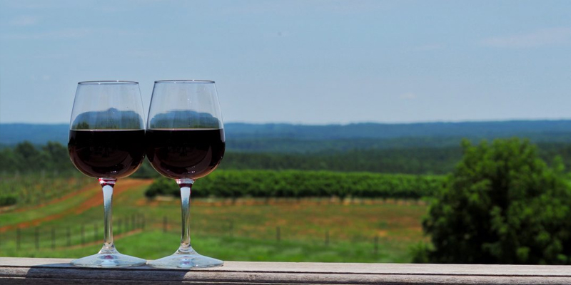 best Charlottesville area wineries