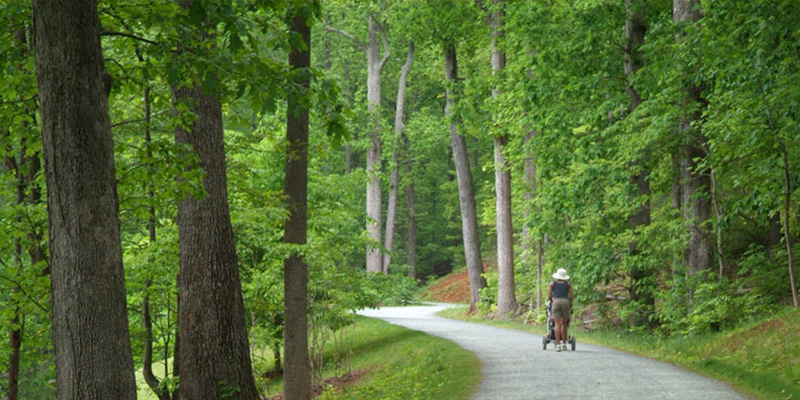 walking the Saunders-Monticello Trail on Route 53 in Charlottesville