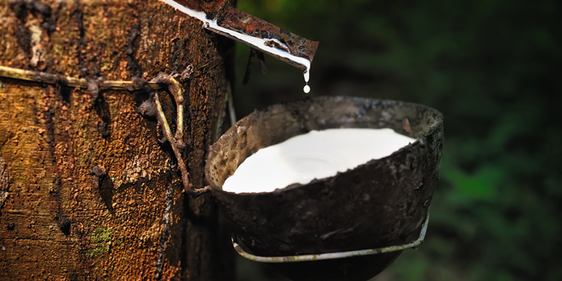 Organic Latex Vs Natural Latex What s The Difference Savvy Rest