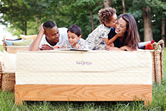 natural and organic latex mattresses