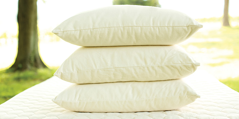 Organic pillows
