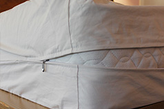 Organic cotton allergy encasement