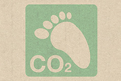 We try to minimize and offset our environmental impact.