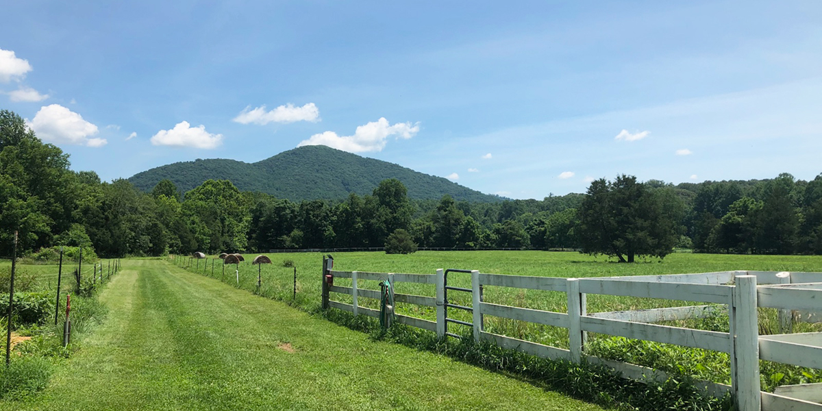 gorgeous views at Nellysford Country Inn