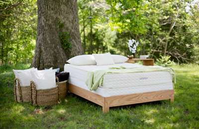 customizable organic mattresses