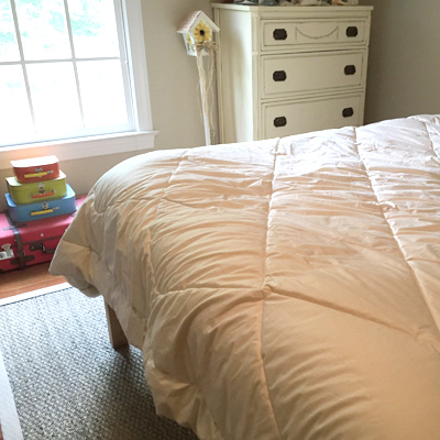 organic duvet insert