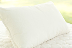 Organic pillow from Savvy Rest