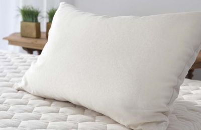 organic pillows target