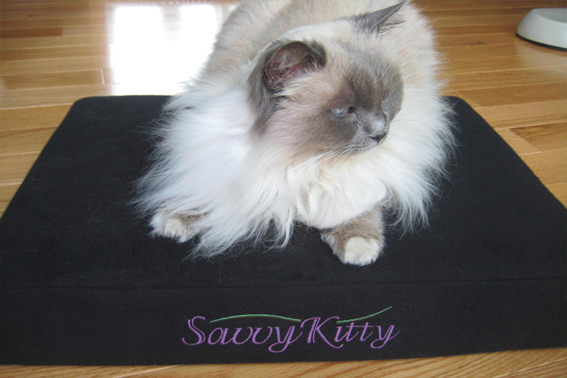 organic cat bed