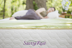 Why Savvy R est