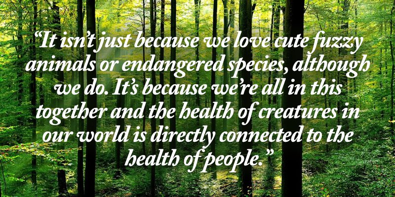 the importance of trees to the environment