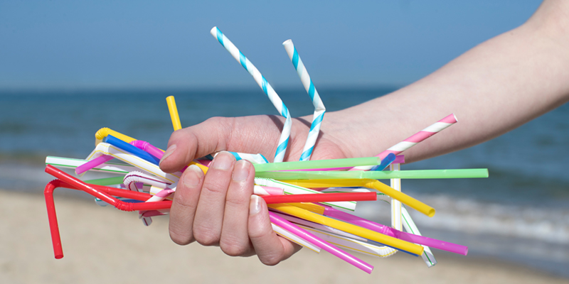 plastic straws are bad for the environment