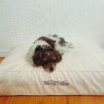 The combo shredded & formed latex option adds a bit more pressure point relief.