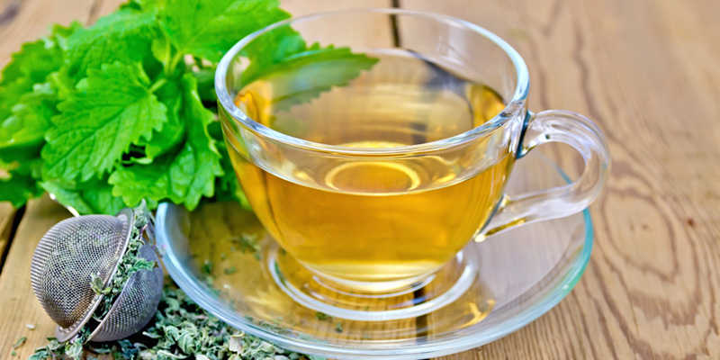 health benefits of lemon balm