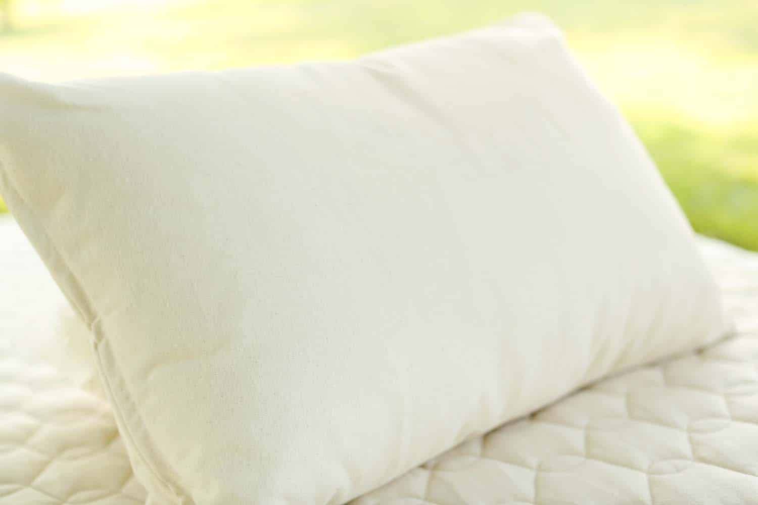 Kapok Pillow Kapok Throw Pillows - 100% Fully Organic - Euro Sizes