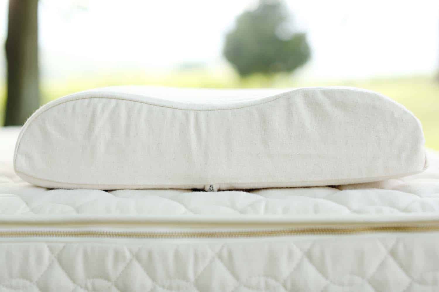 Organic Contour Pillow