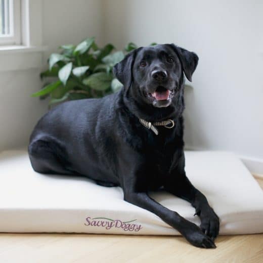 Savvy Doggy organic pet bed