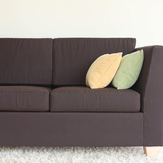 organic sofa options