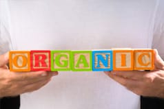 what-is-an-organic-mattress_238x159.jpg