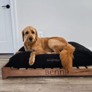 Savvy Doggy Platform Bed