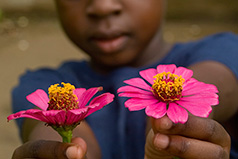 A Little Giving