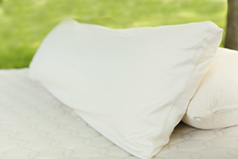 Organic Body Pillows