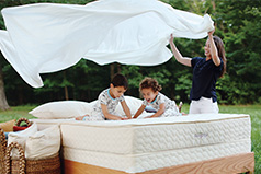 Organic Sheets