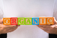 What Is An Organic Mattress?